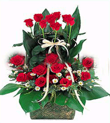 Vietnam flowers delivery, Vietnam gifts,flower deliver to vietnam, viet flower, Vietnam flowers shop, Vietnam flowers basket, send flower to vietnam , Vietnam flowers bouquet