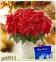 qua giang sinh, send flower to vietnam, vietnam flower online, vietnam flower and gift